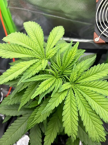 Growreport Bild 5