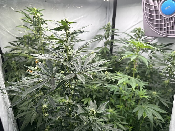 Growreport Bild 2