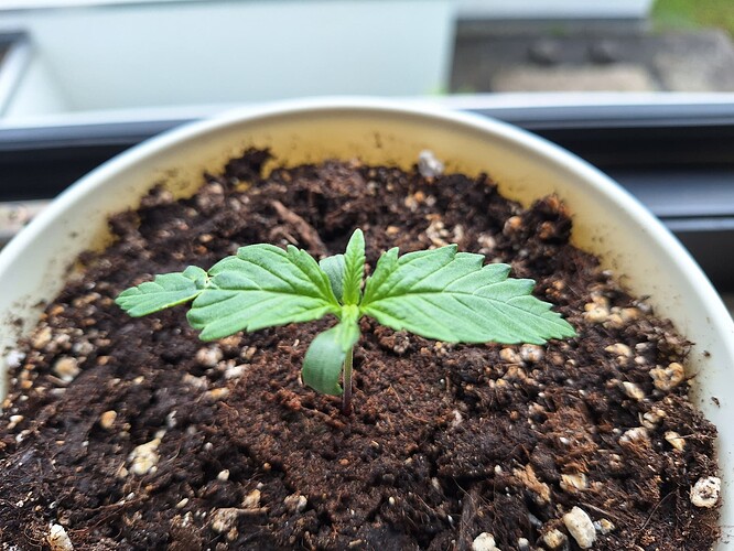 Growreport Bild 22
