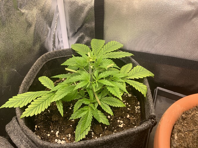 Growreport Bild 3