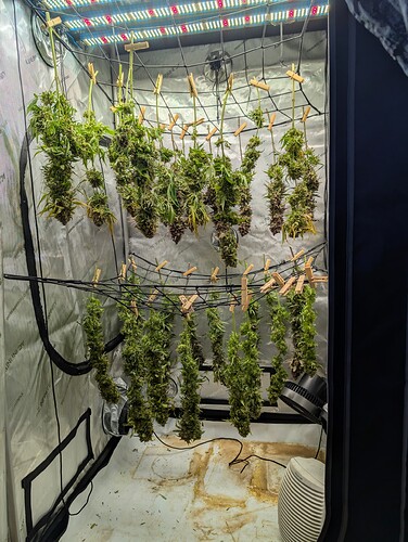 Growreport Bild 5