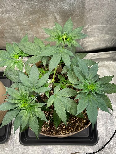 Growreport Bild 14