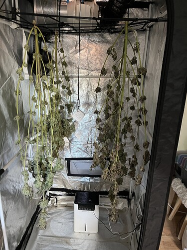 Growreport Bild 13