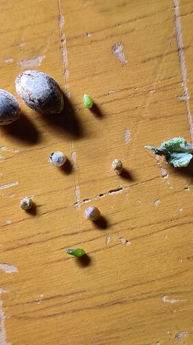 Growreport Bild 22