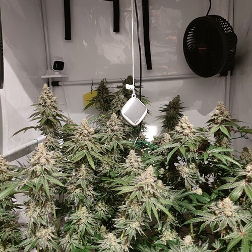 Growreport Bild 14