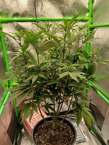 Growreport Bild 13