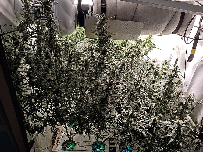 Growreport Bild 12