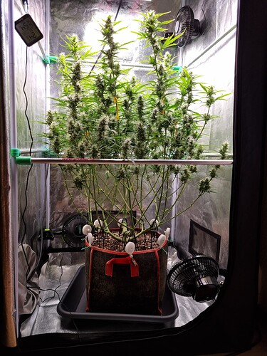 Growreport Bild 21