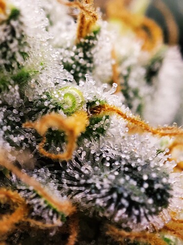Growreport Bild 18