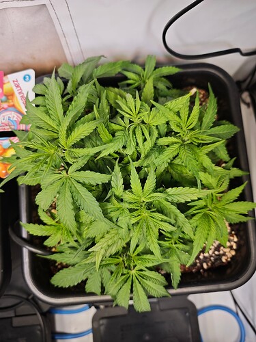 MVIMG_20251013_172653