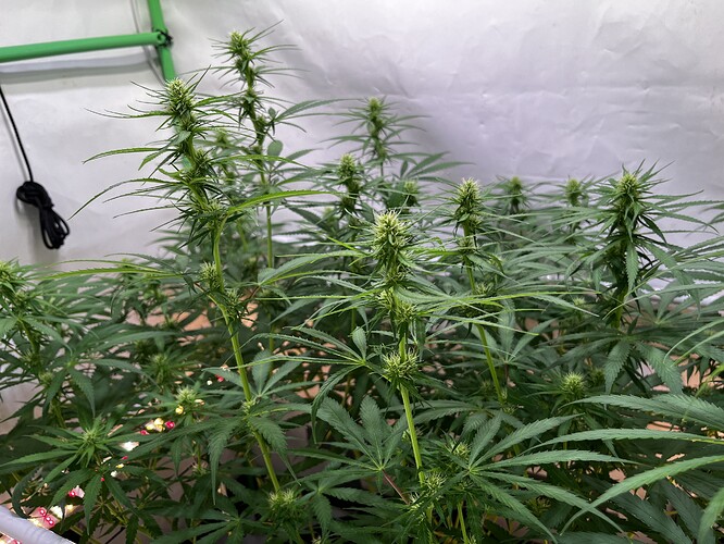 Growreport Bild 8