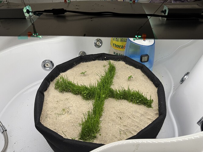 Growreport Bild 5