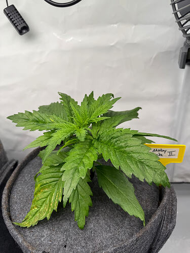 Growreport Bild 21