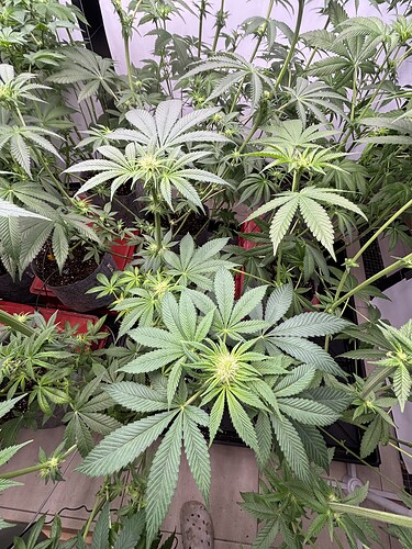 Growreport Bild 9