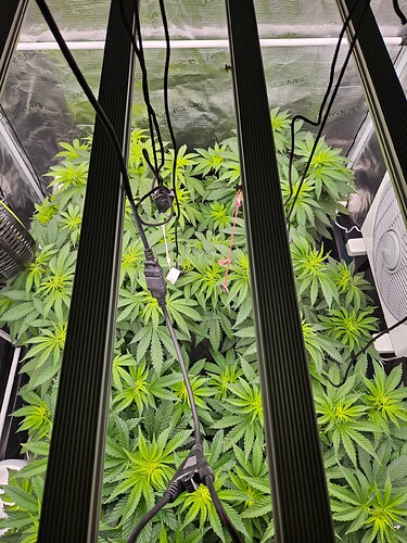 Growreport Bild 19
