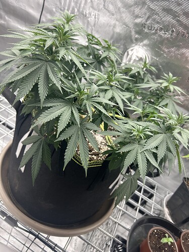 IMG_E1AA5FAD-7317-411F-A7B6-354FD2347FDA