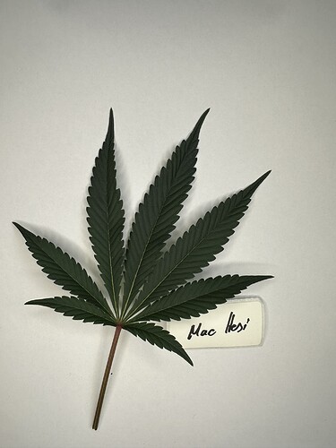 Growreport Bild 8