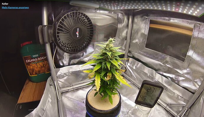 Growreport Bild 1