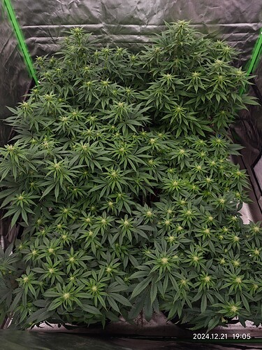 Growreport Bild 14