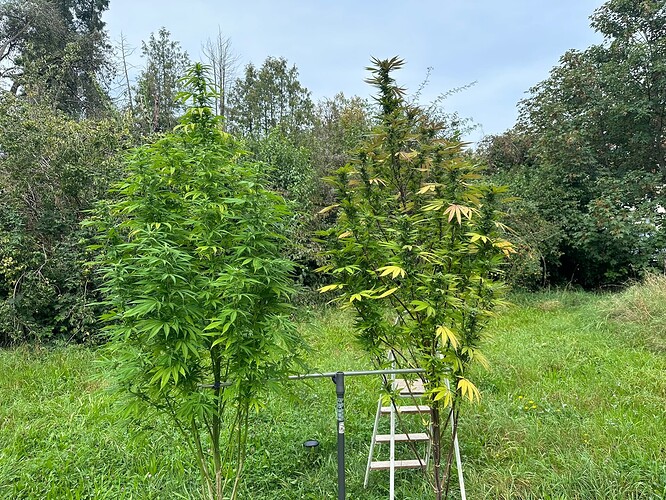 Growreport Bild 8
