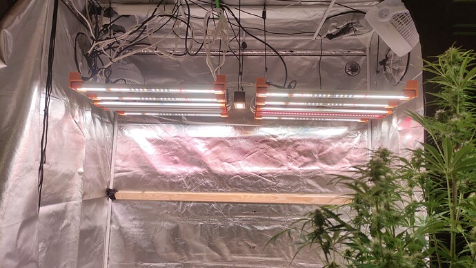 Growreport Bild 12