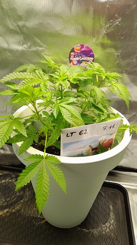 Growreport Bild 2