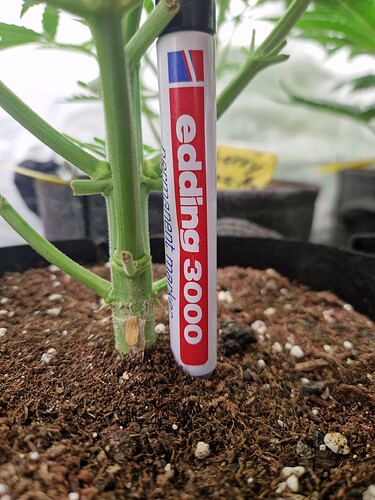 Growreport Bild 6