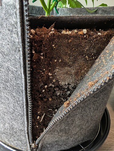 Growreport Bild 17