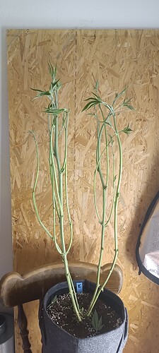 Growreport Bild 5