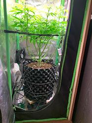 WhatsApp Bild 2024-12-10 um 16.18.18_b6b1c1c0