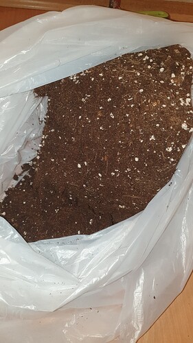 Growreport Bild 8