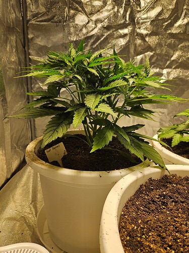 Growreport Bild 15