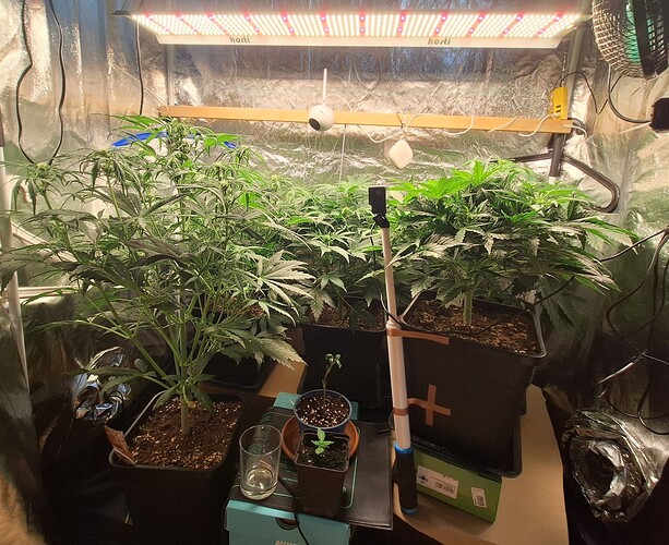 Growreport Bild 10