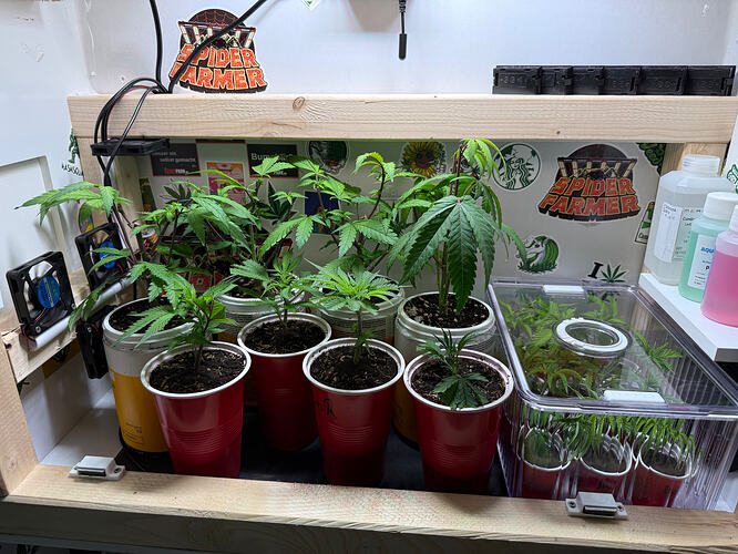 Growreport Bild 5
