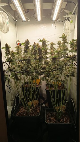Growreport Bild 6