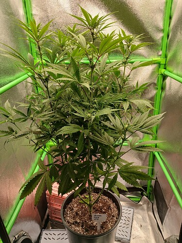 Growreport Bild 10