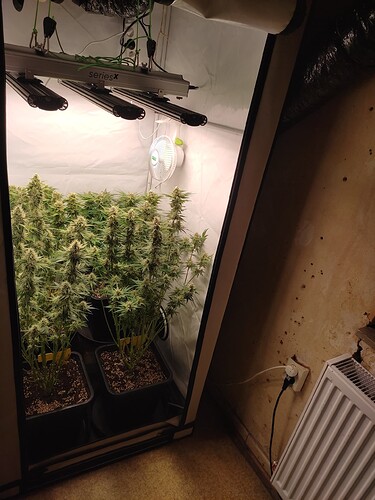 Growreport Bild 43