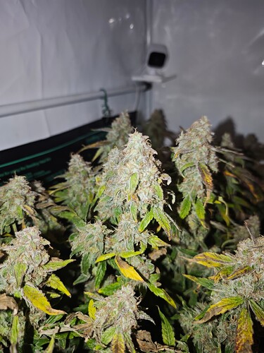 MVIMG_20251128_150033