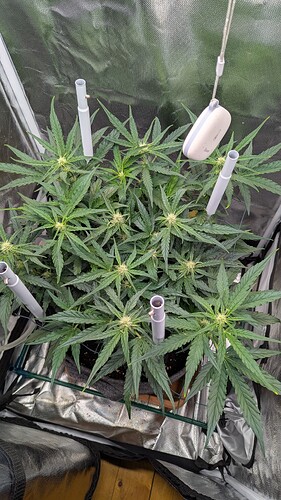 PXL_20250502_182037017