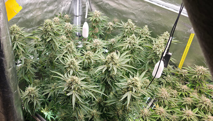 Growreport Bild 10