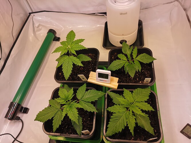 Growreport Bild 5