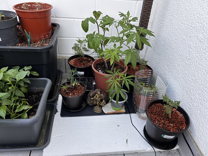 Growreport Bild 5