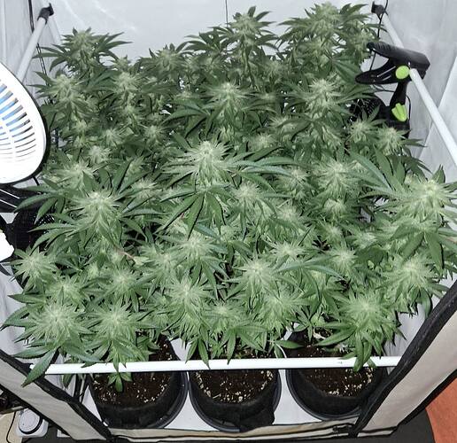 475794334_122166564980293599_6767586864667122311_n