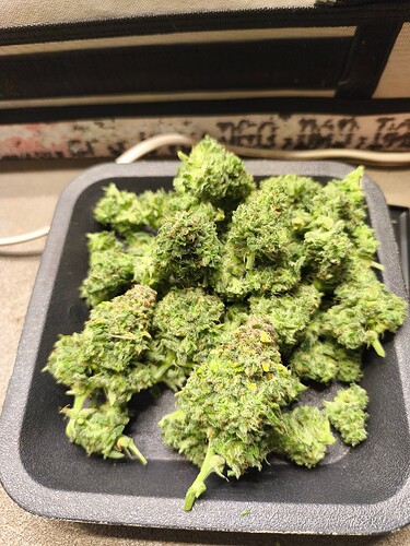 Growreport Bild 8
