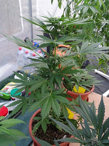 Growreport Bild 11