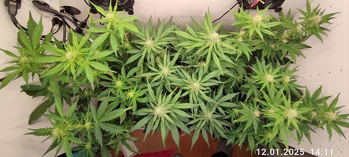Growreport Bild 24