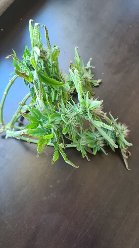 17086837982882770801653194792216