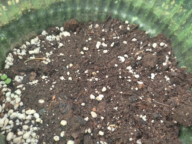 Growreport Bild 68