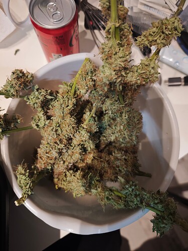 MVIMG_20251209_173728