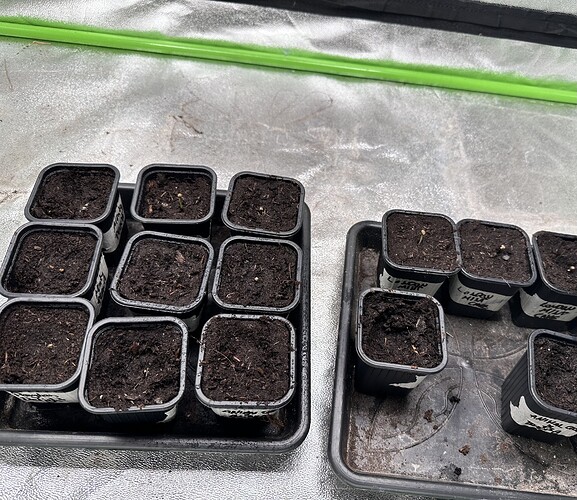 Growreport Bild 29